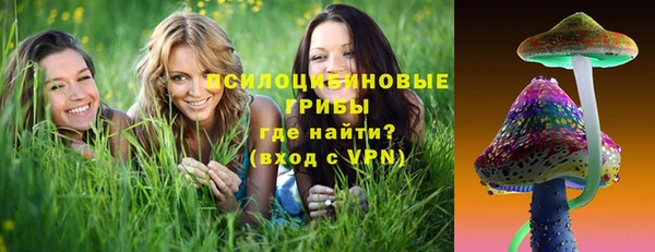 МДПВ Абаза