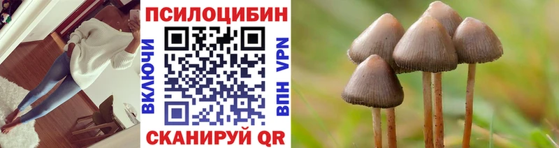 Псилоцибиновые грибы GOLDEN TEACHER  Новоалтайск 